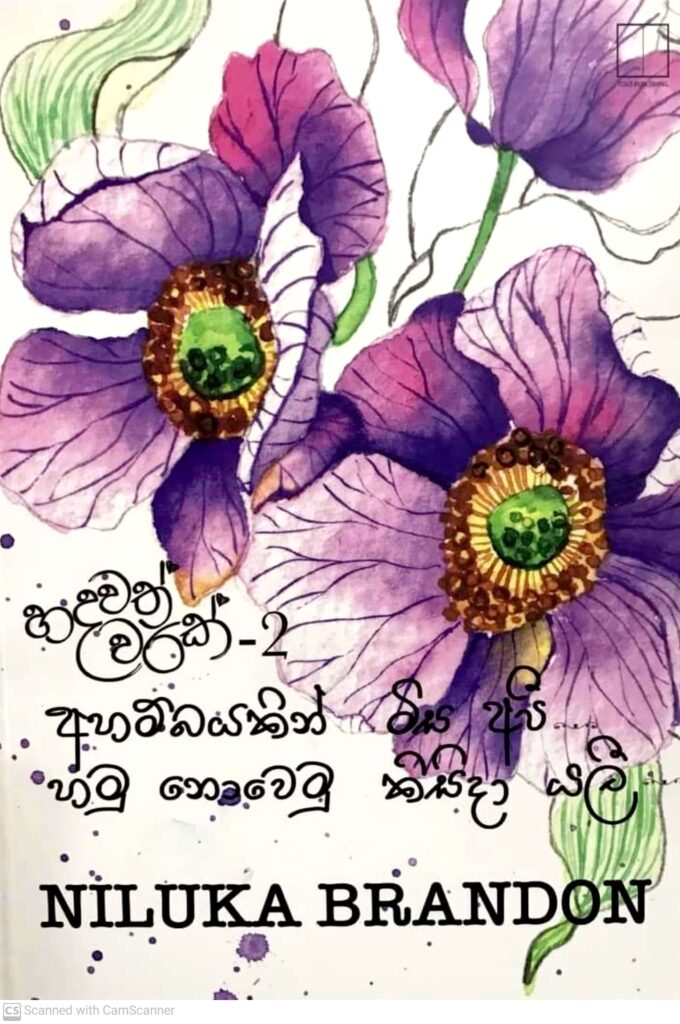 අහම්බයකින් මිස අපි... හමු නොවෙමු කිසිදා යලී...